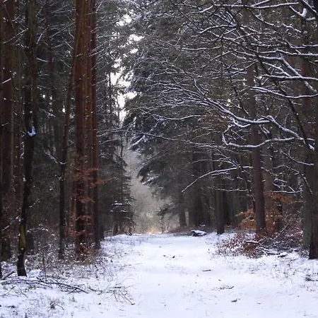 شقة Landhaus Questin