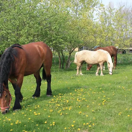 شقة Landhaus Questin Alt Bukow