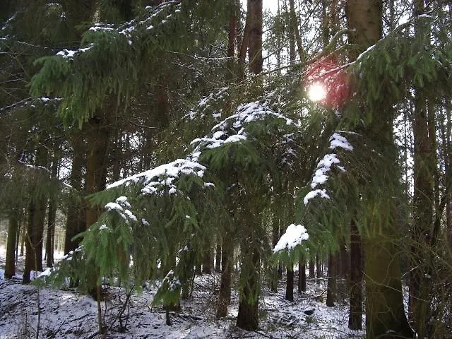 Landhaus Questin * Alt Bukow