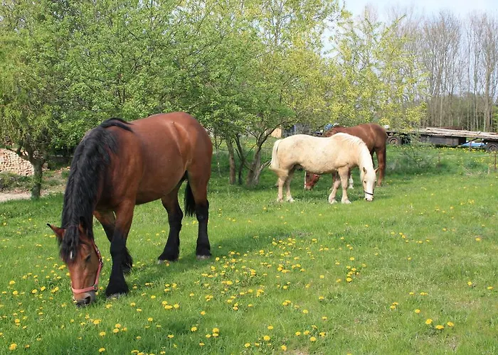 Lejlighed Landhaus Questin Alt Bukow